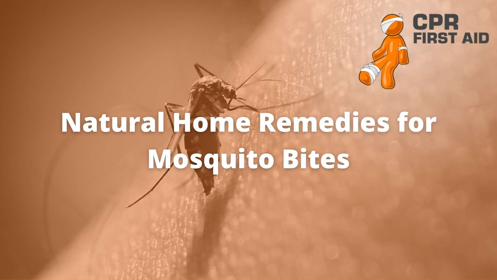Natural Home Remedies For Mosquito Bites CPR First Aid Natural Home Remedies For Mosquito Bites CPR First Aid